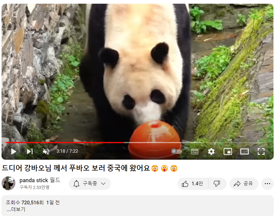 푸바오와 강할부지 만남?! 중국 간 강바오 사육사 동영상, 쌍둥바오 루이,후이 생일파티 인형, 굿즈