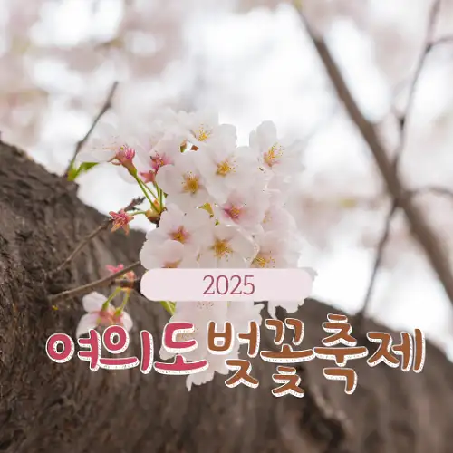 2025 여의도 벚꽃축제