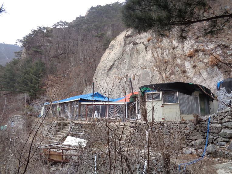 심우 이미지