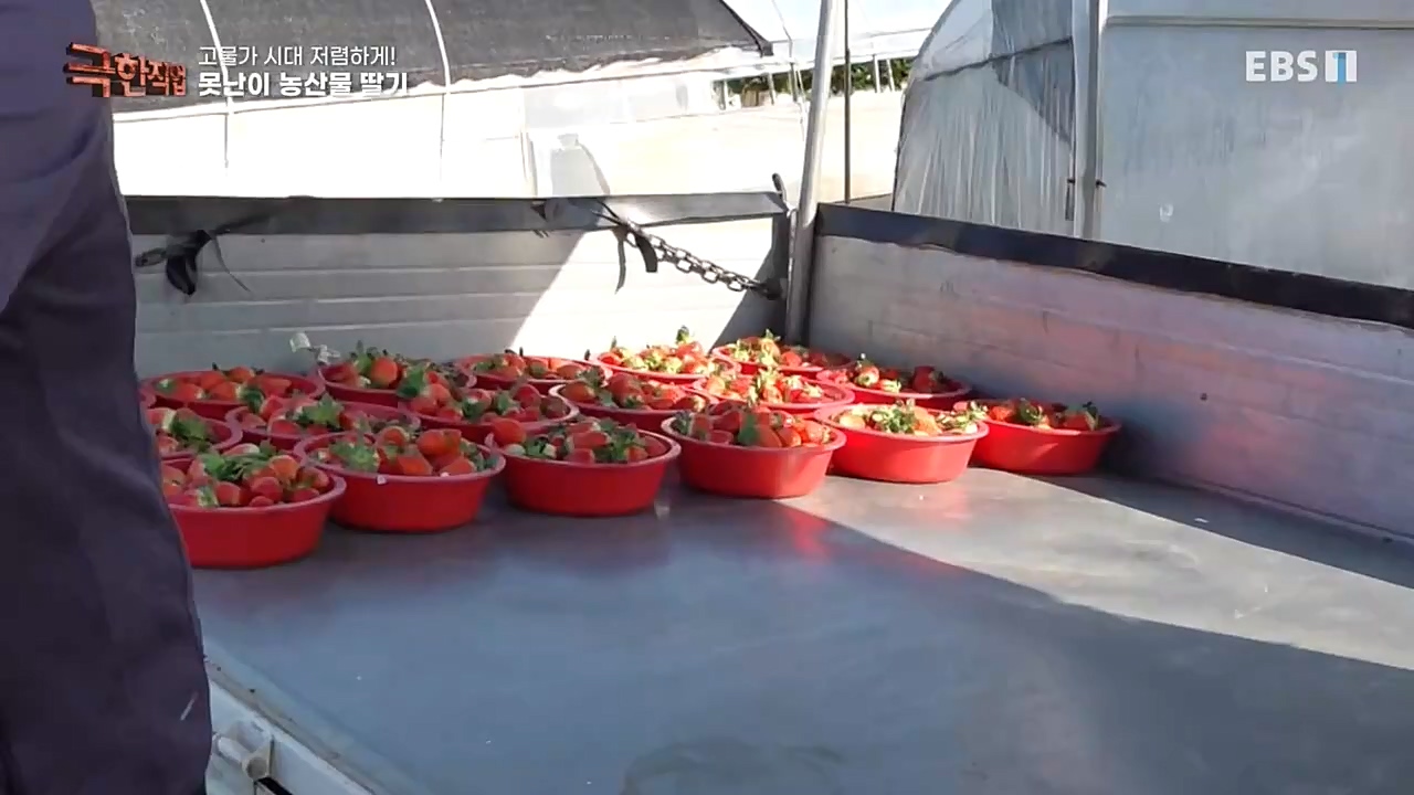 극한직업.E1046.221232p-NEXT.mp4_20230103_200852.055.jpg