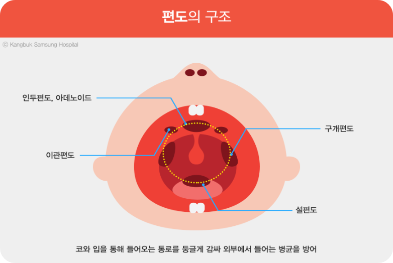 아데노바이러스12