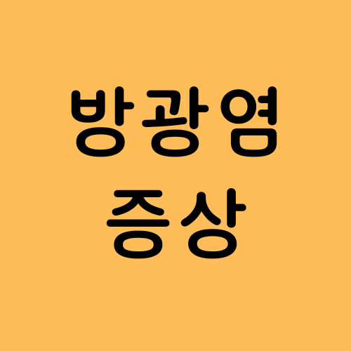  방광염 증상/원인/치료법/방광염에 좋은 음식