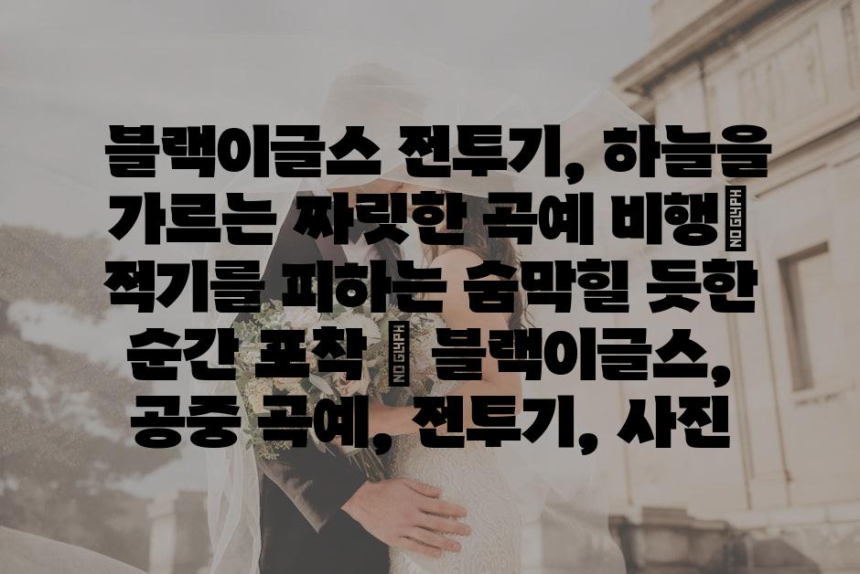 샘플 (67)