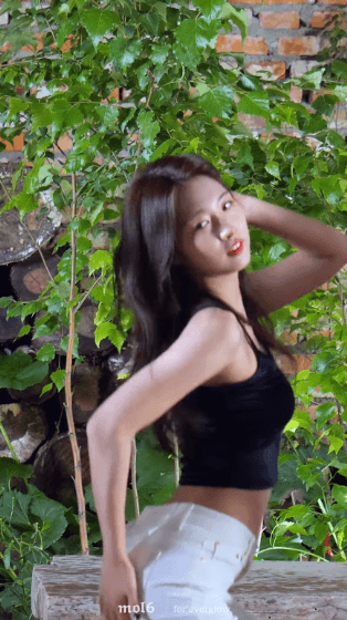 img.gif