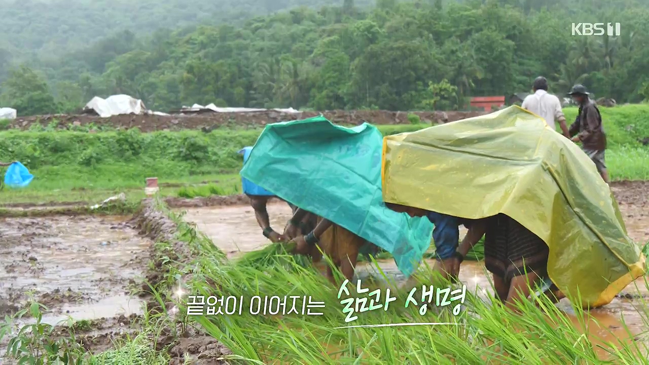 걸어서 세계속으로.E807.230827p-NEXT.mp4_20230902_174935.481.jpg