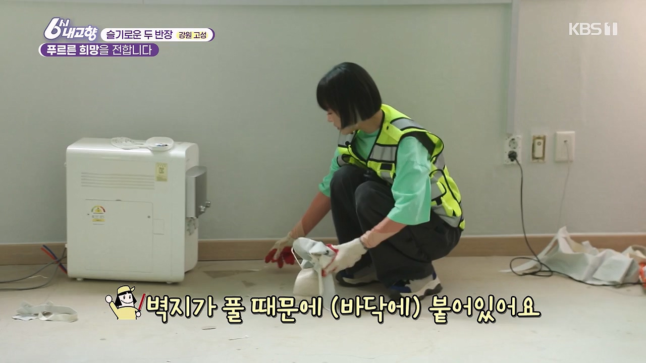 6시 내고향.E7878.230912p-NEXT.mp4_20230918_211130.066.jpg