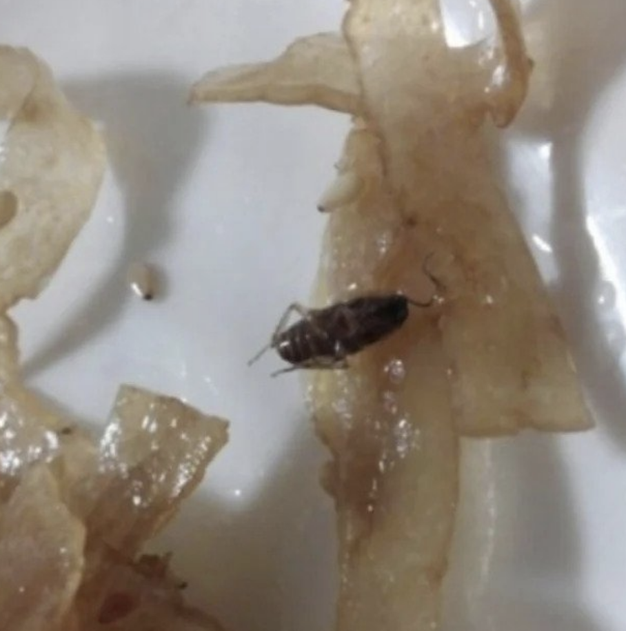 바선생 나온 음식점 사장님의 대처.jpg