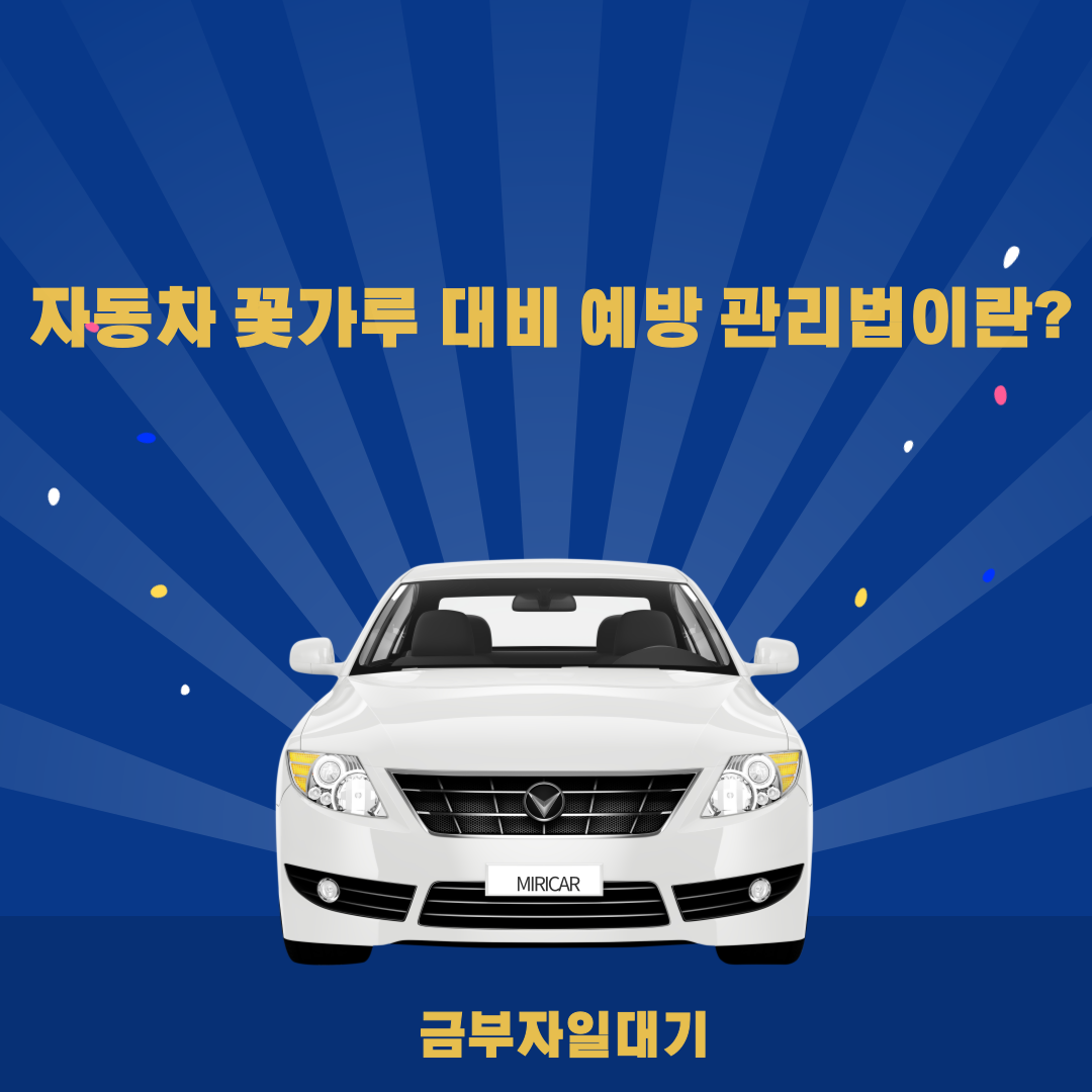  자동차 꽃가루 대비 예방 관리법이란?