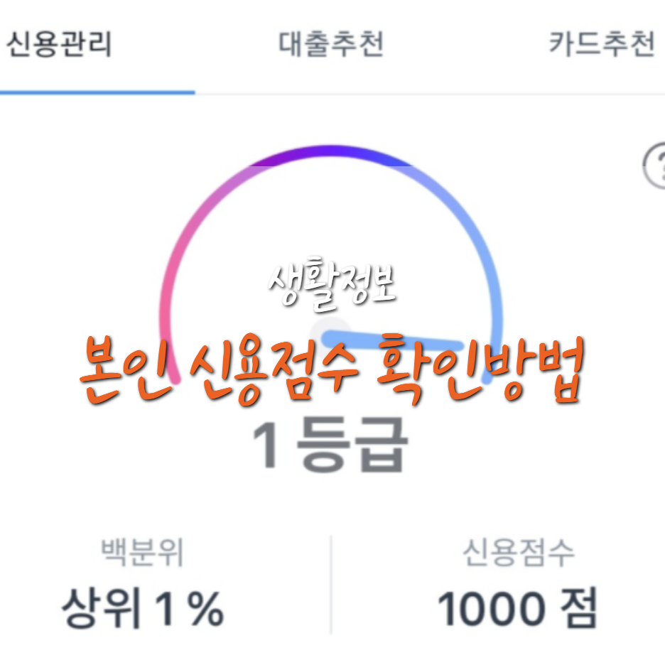  신용등급 점수제와 토스/카카오 신용 점수 확인 방법