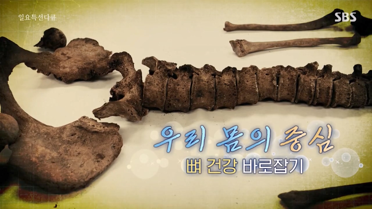 일요특선 다큐멘터리.E339.240205p-NEXT.mp4_20240206_202809.823.jpg