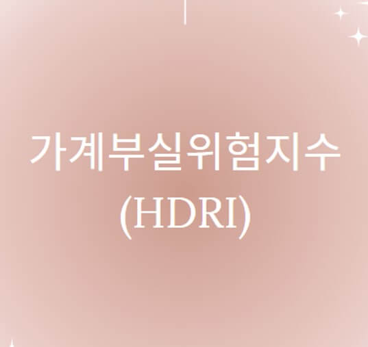  가계부실 위험지수(HDRI)