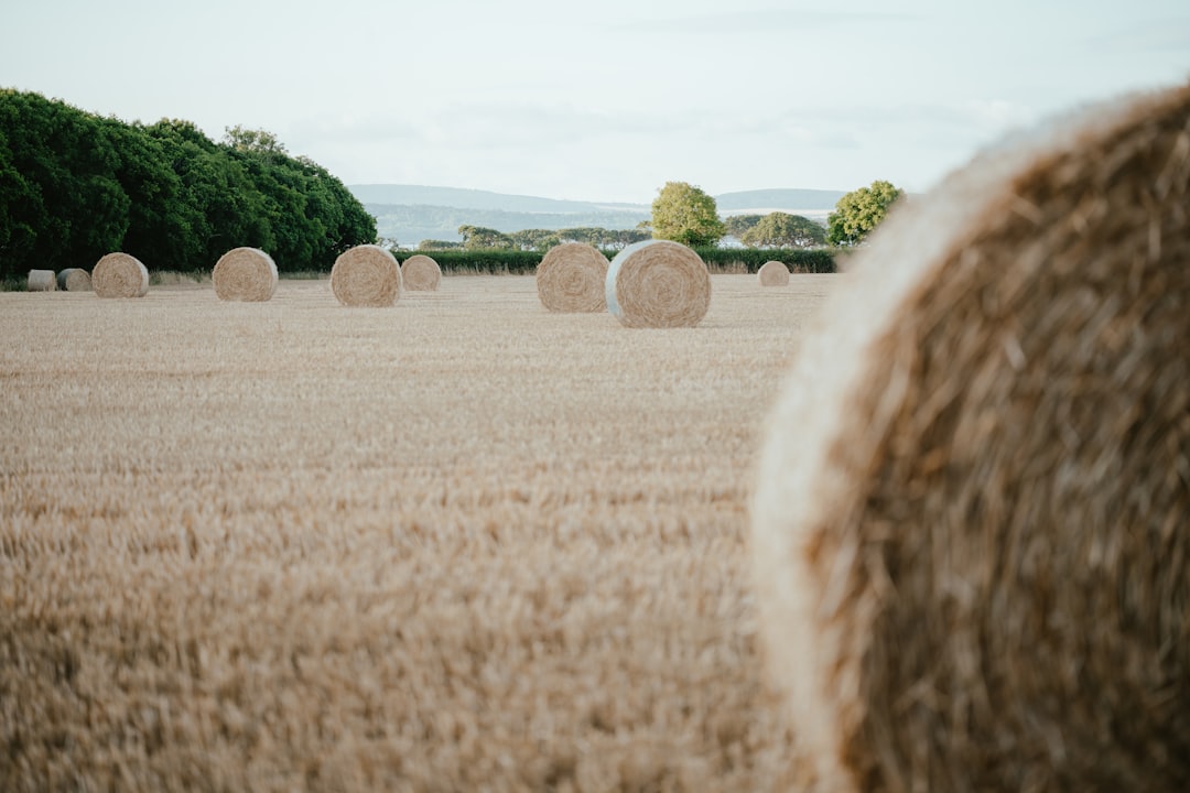 Harvesting