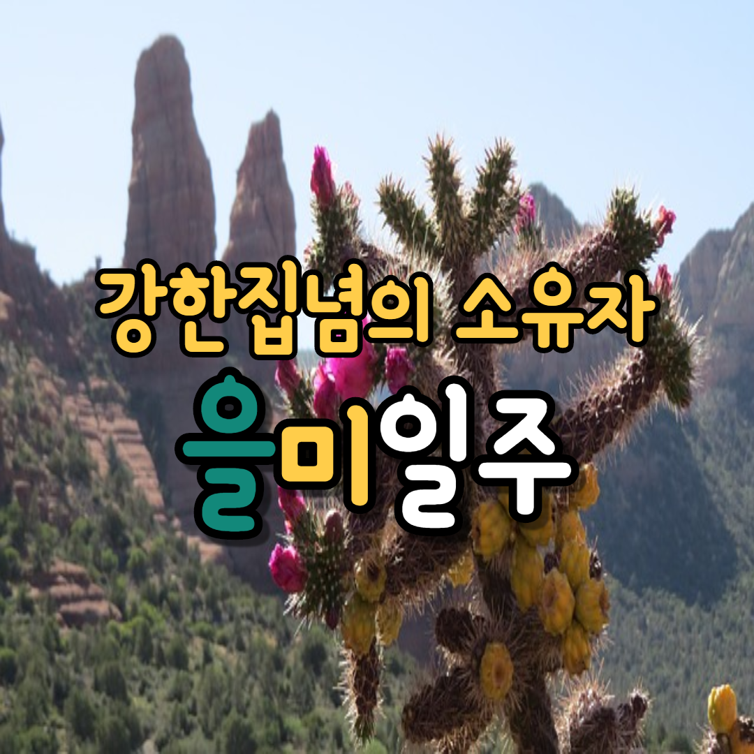  32. 강한 집념의 소유자, 을미일주