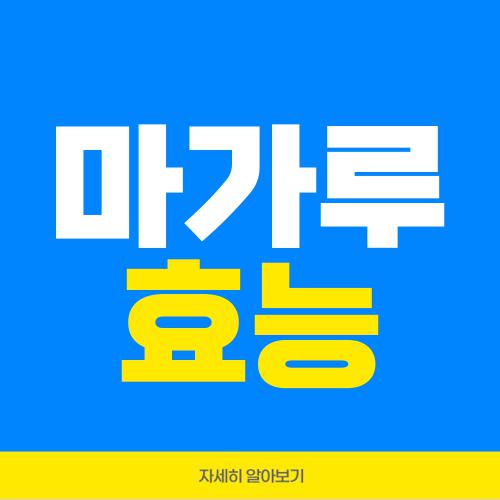 마가루 효능