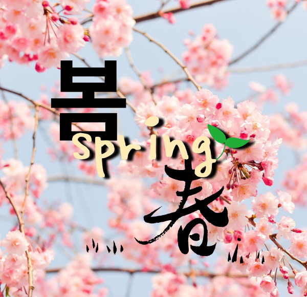 봄 벚꽃