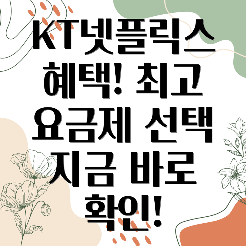 KT 넷플릭스 초이스