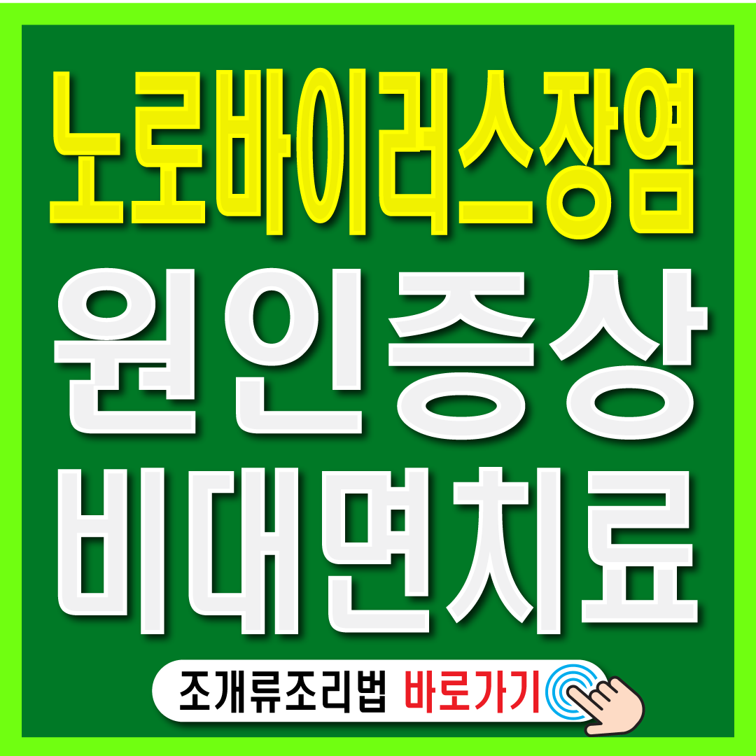 노로바이어스 증상 원인 비대면 치료