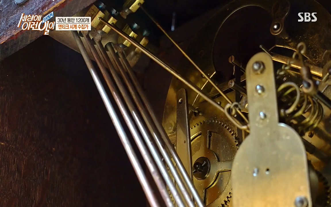 순간포착 세상에 이런일이.E1177.220427p-NEXT.mp4_20220427_183843.749.jpg