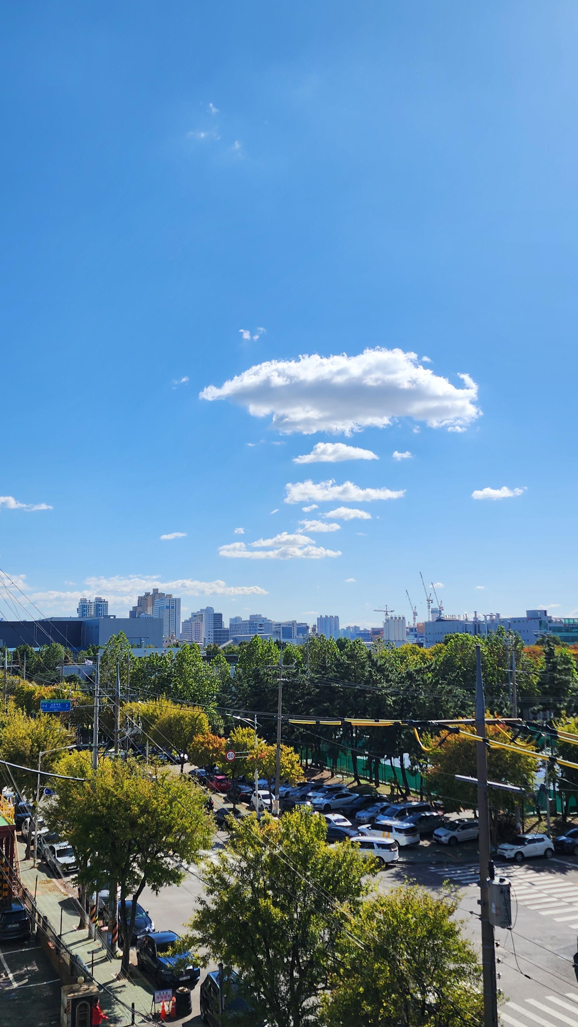  따사로운 가을 햇살..