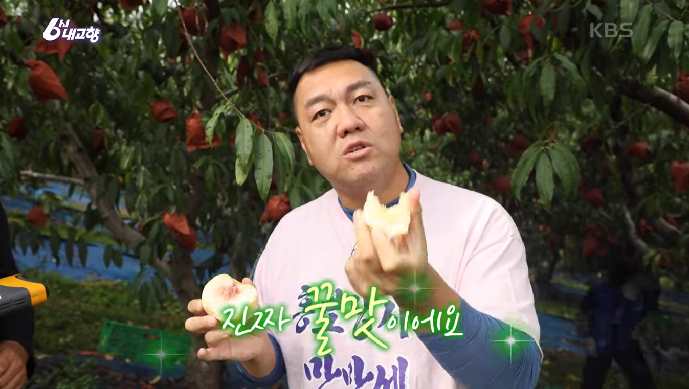 6시내고향 '설아복숭아' 이미지