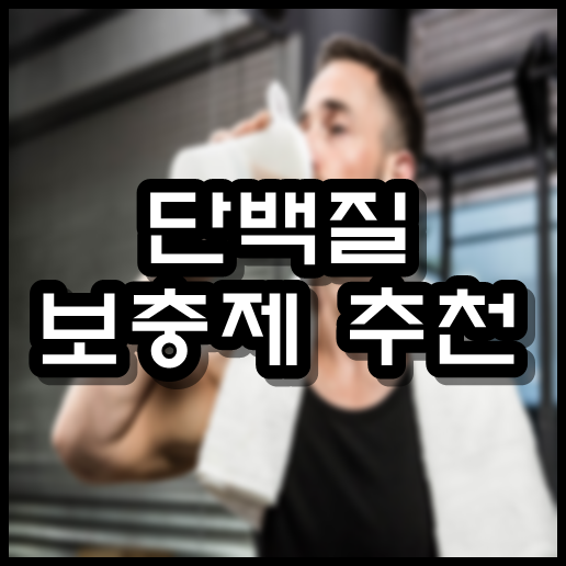  단백질 보충제 추천