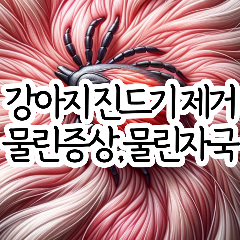 강아지 진드기 물린 자국 물렸을 때 증상 및 제거