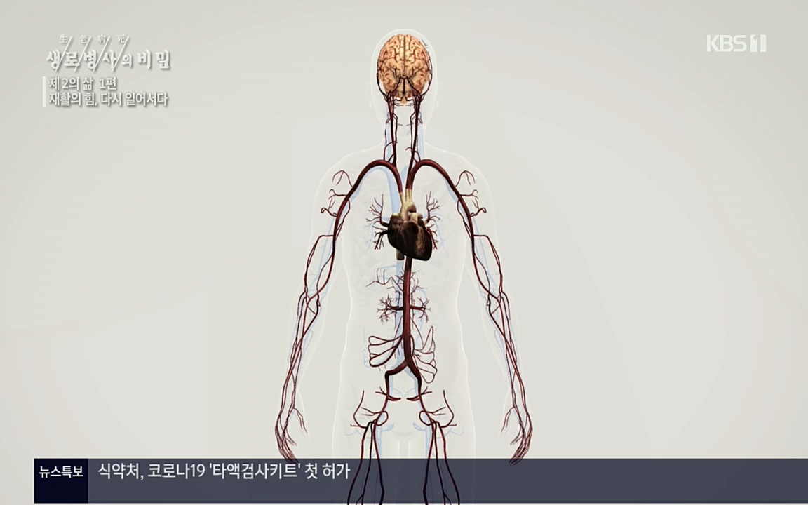 생로병사의 비밀.E819.220505p.H264-F1RST.mp4_20220508_181718.700.jpg