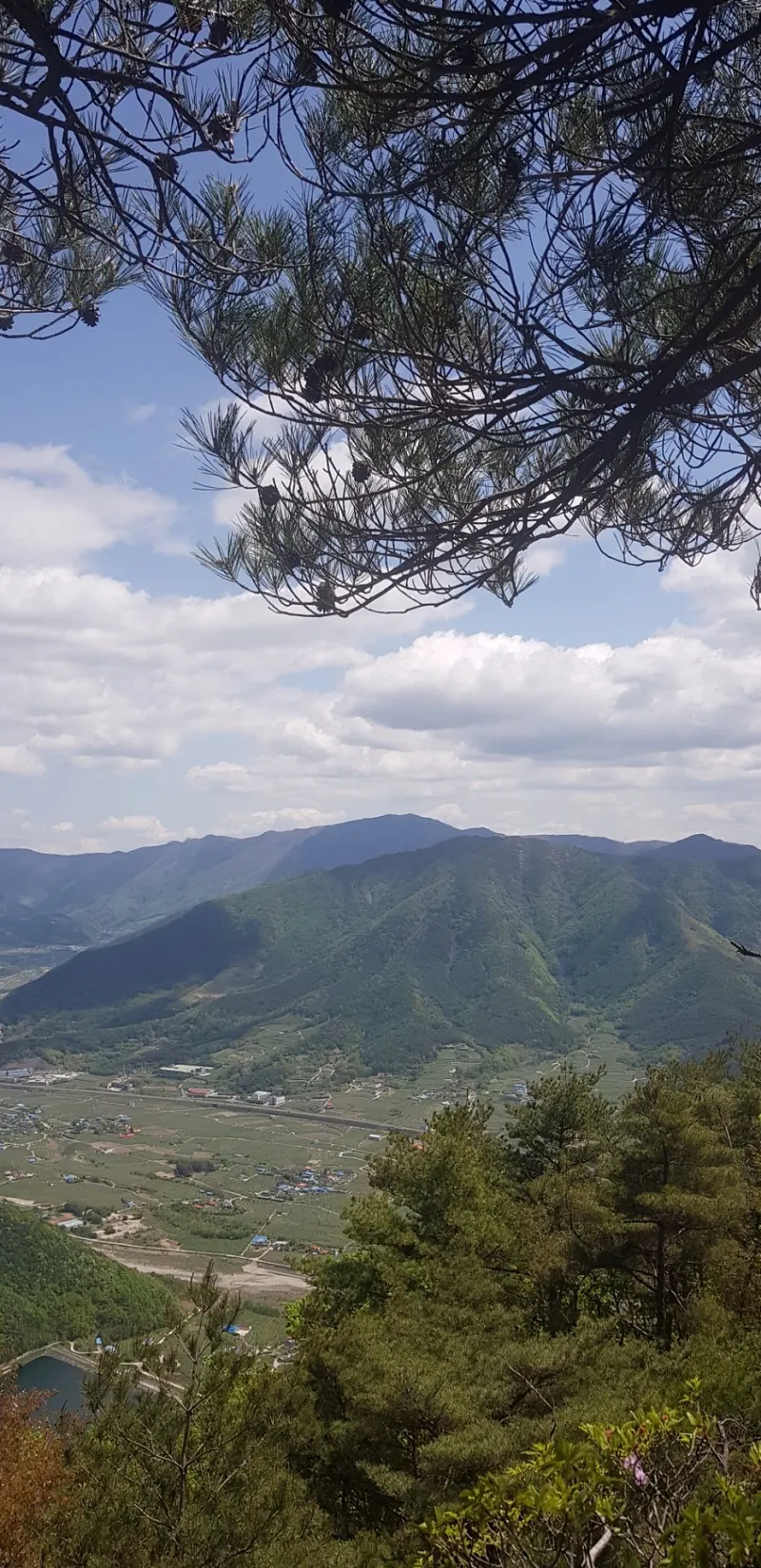 밀양 구만산