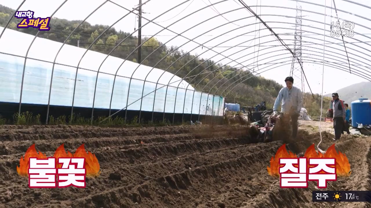 내고향 스페셜.E2309.230616p-NEXT.mp4_20230924_143307.065.jpg
