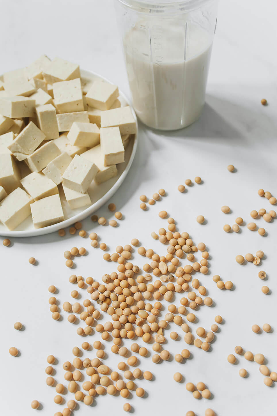 milk soy milk oat milk almond milk 식물성우유 동물성 우유 소이밀크 두유 오트밀크 귀리우유 아몬드 우유 건강 관련