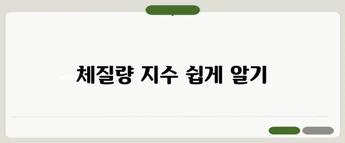 체질량 지수 계산법 쉽게 정리