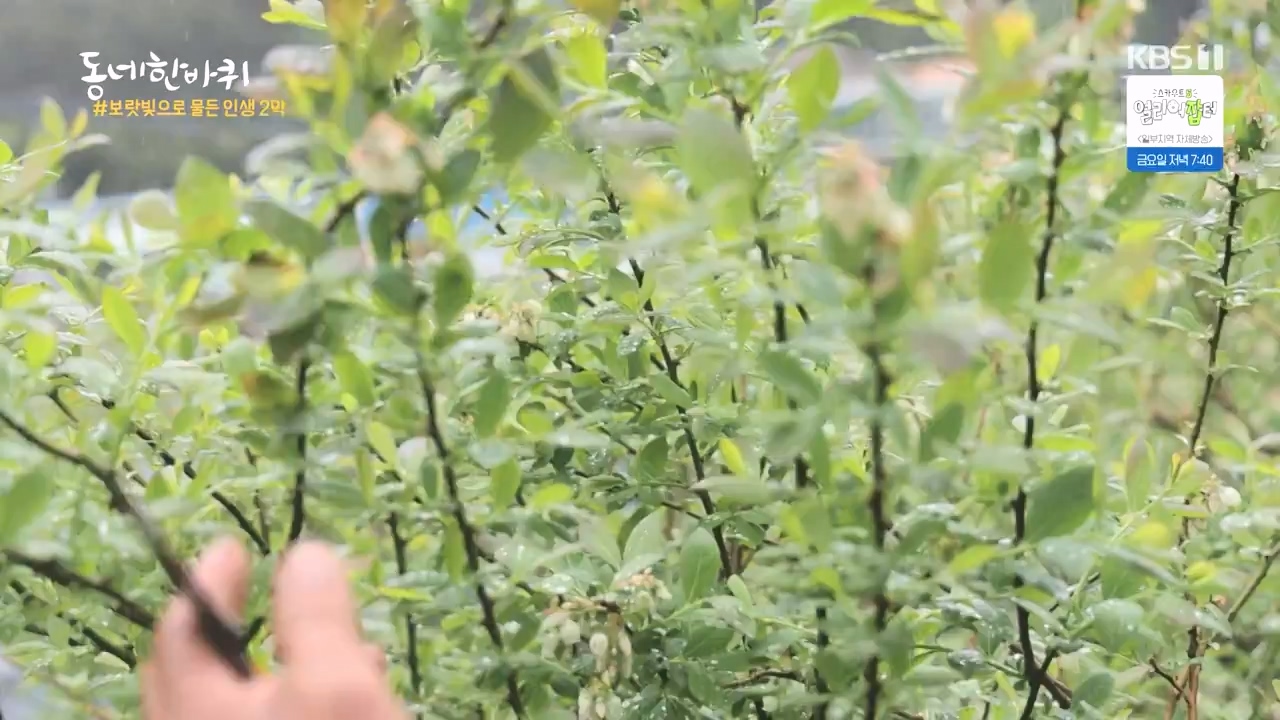 동네 한 바퀴.E273.240512p-NEXT.mp4_20240512_170019.013.jpg
