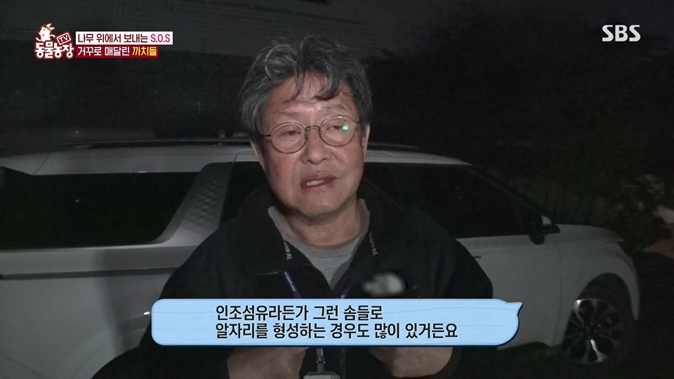 TV 동물농장.E1126.230625p.H264-F1RST.mp4_20230626_204304.905.jpg