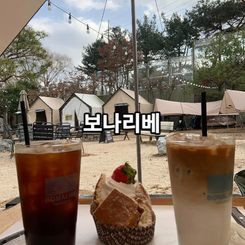 보나리베