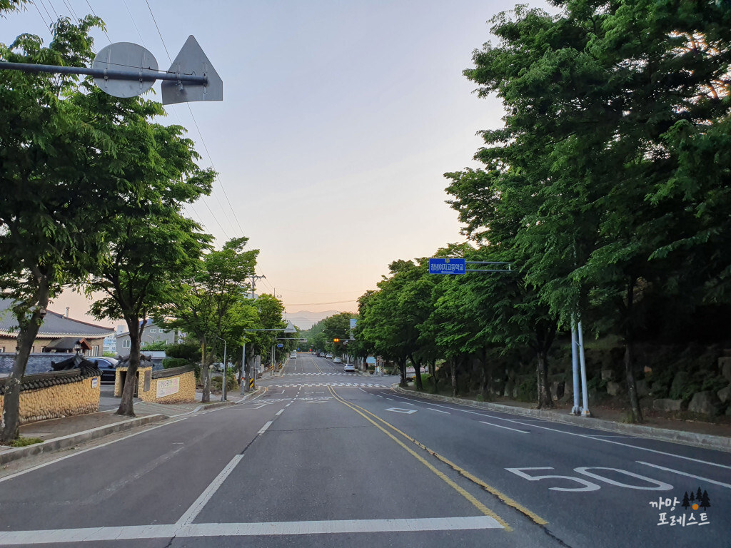 화왕산 가는길