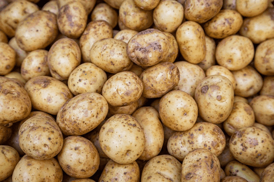 감자의 효능과 부작용 그리고 영양성분