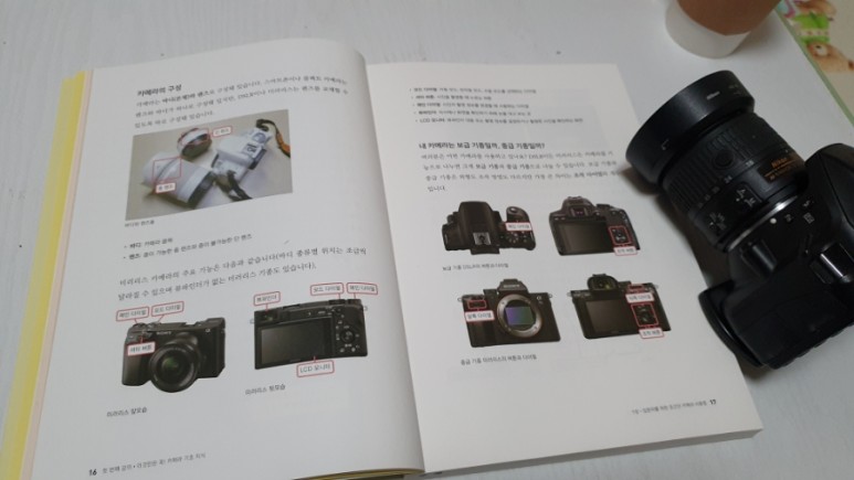 dslr 된다! 깨비의 DSLR & 미러리스 사진 9