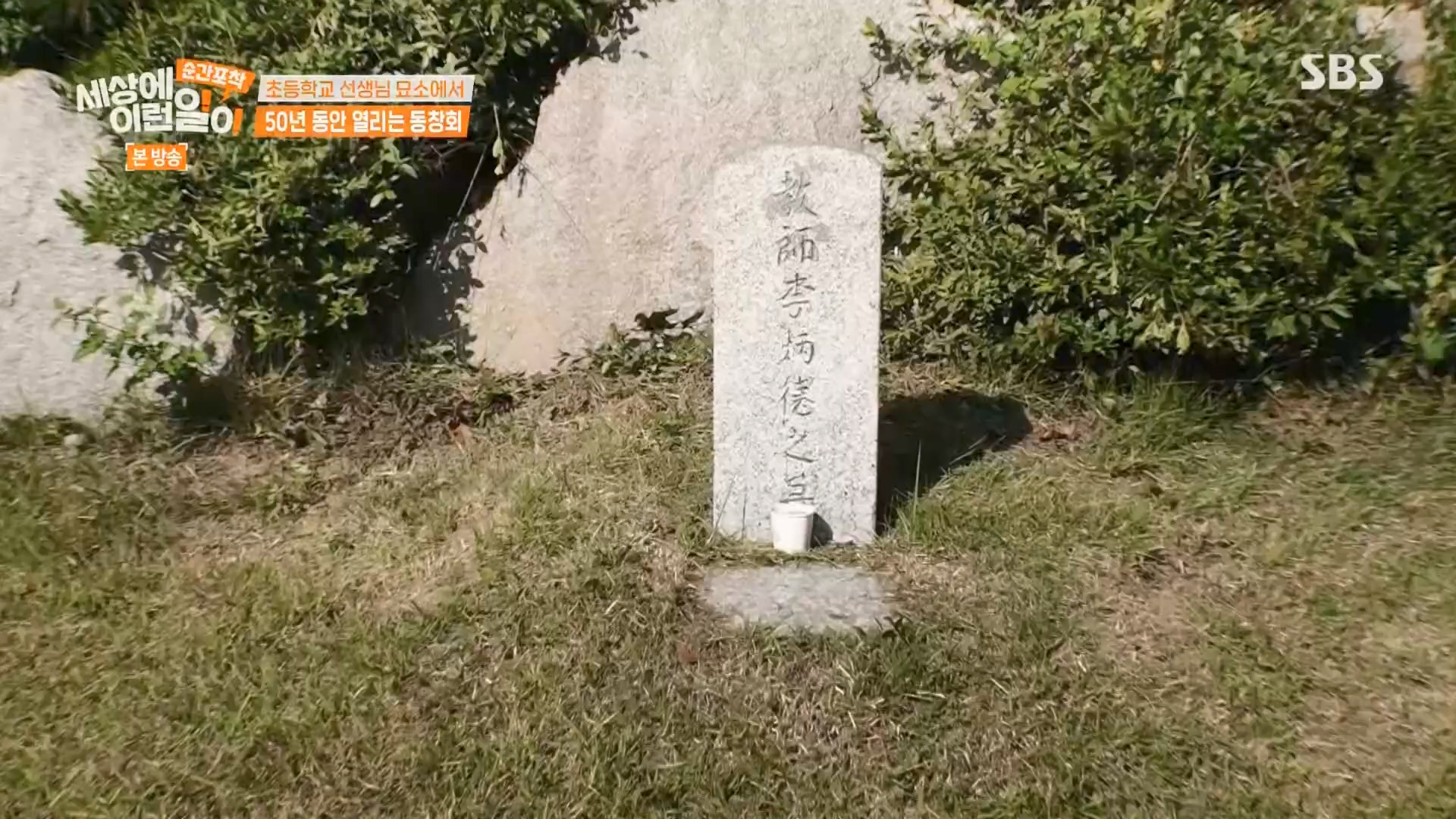 순간포착 세상에 이런일이.E1241.230812p.H264-F1RST.mp4_20230813_132636.819.jpg