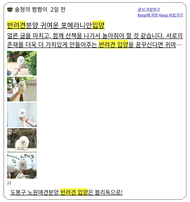 반려견 입양_2_subsection