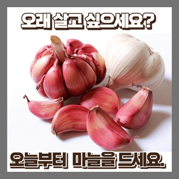 숙성 마늘 사진 썸네일