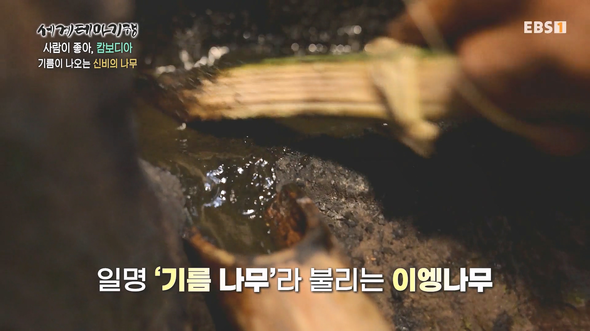 세계테마기행 240205 사람이 좋아, 캄보디아 -즐거운 나의 집, 몬둘키리0p.mp4_20240729_194635.605.jpg