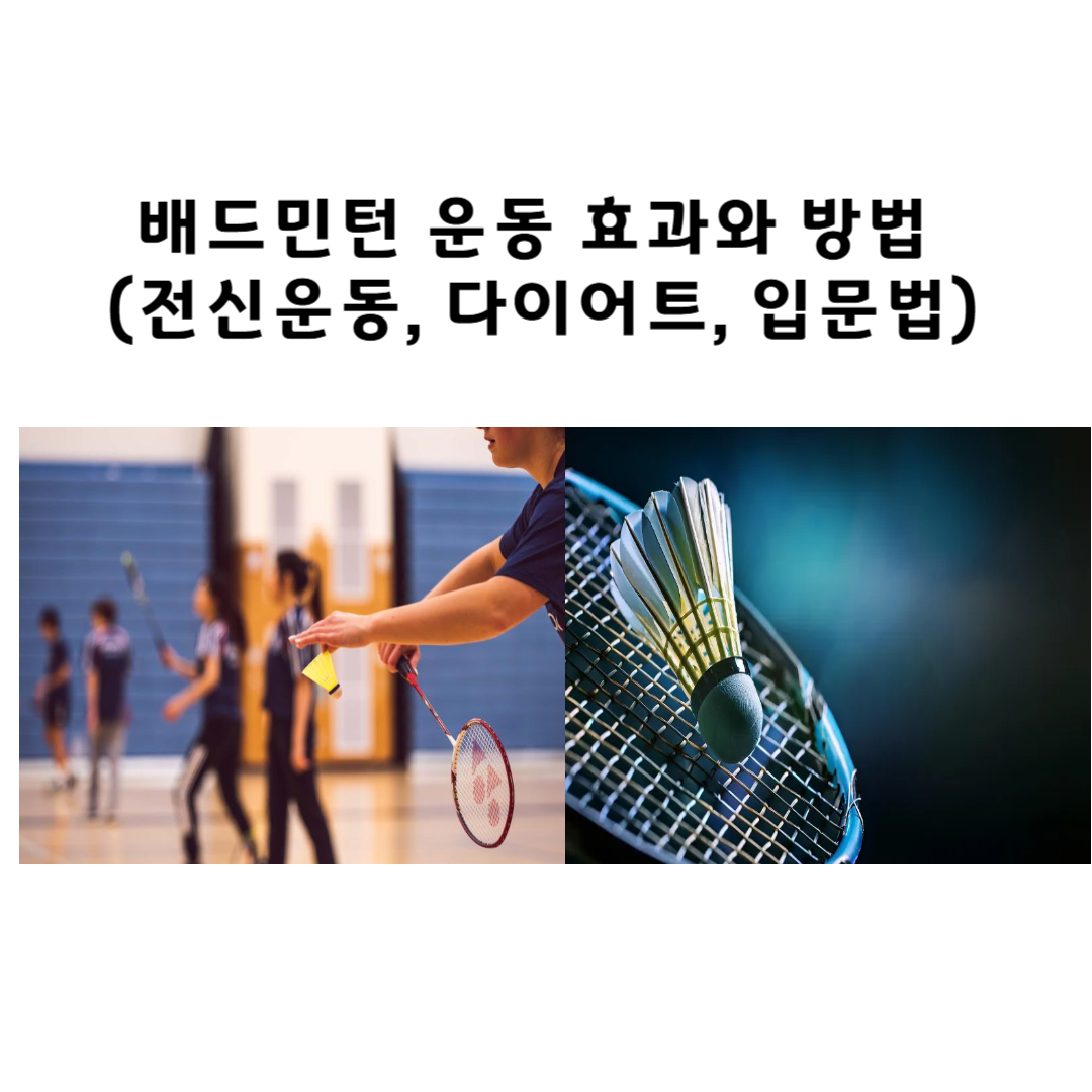 배드민턴 운동 효과와 방법 (전신운동, 다이어트, 입문법)