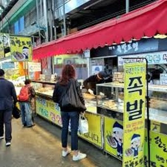 카멜리아 이미지