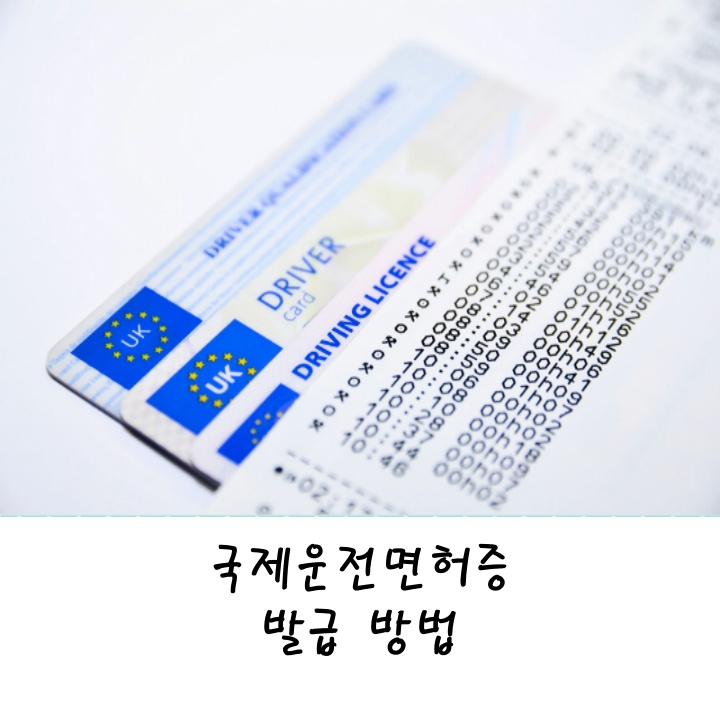  국제운전면허증 발급 방법