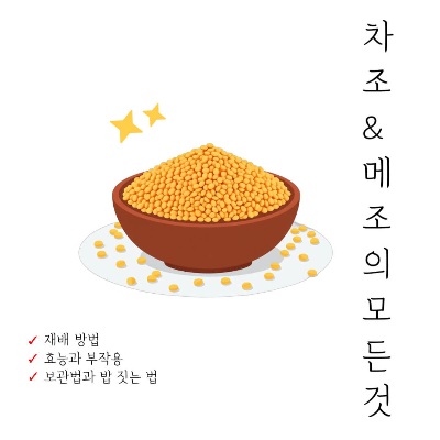 차조 메조 차이
기장과 차조 메조 비교
차조 효능
메조 효능
차조 부작용
메조 부작용
차조 메조 보관법
차조 메조 밥 짓는 법
차조 메조 요리법
건강 잡곡 차조 메조
차조 메조 심는 시기
차조 메조 수확 시기
차조 메조 요리 활용법
잡곡 효능 비교
차조 메조 영양성분