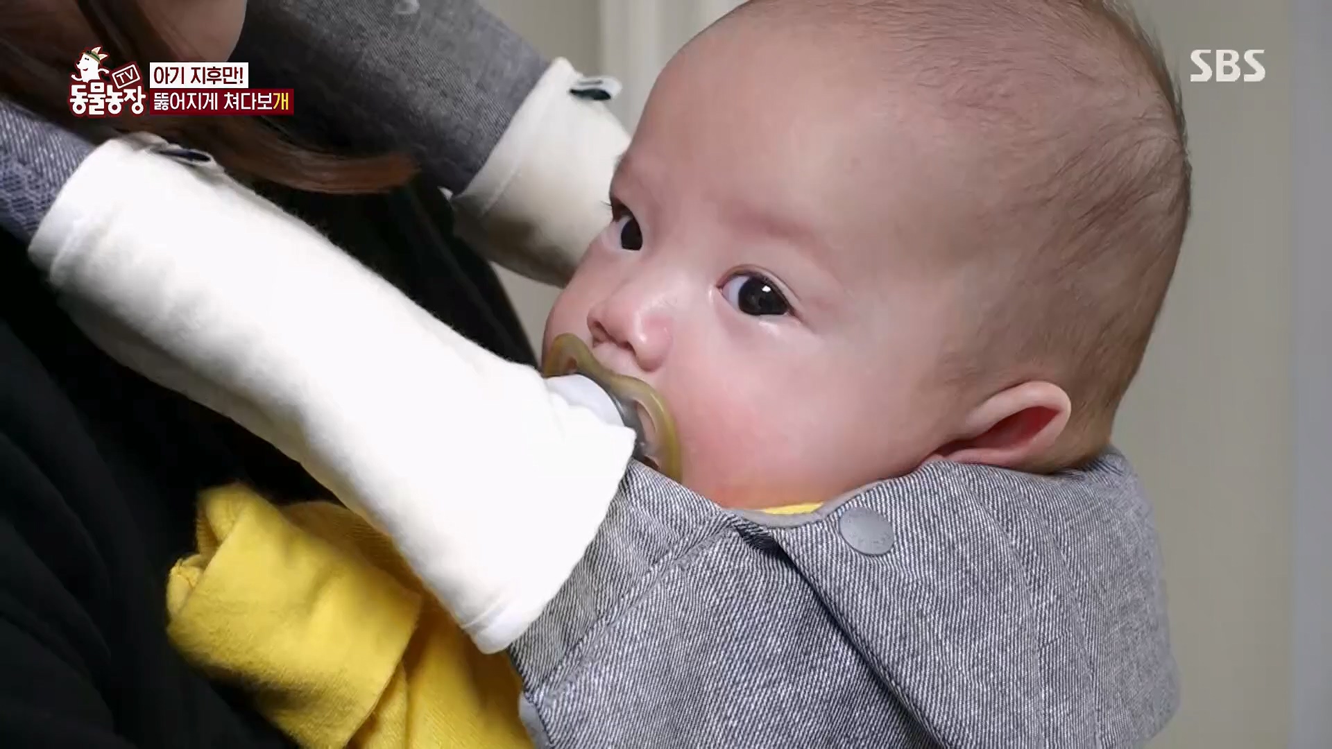 TV 동물농장.E1120.230514p.H264-F1RST.mp4_20230515_203540.654.jpg