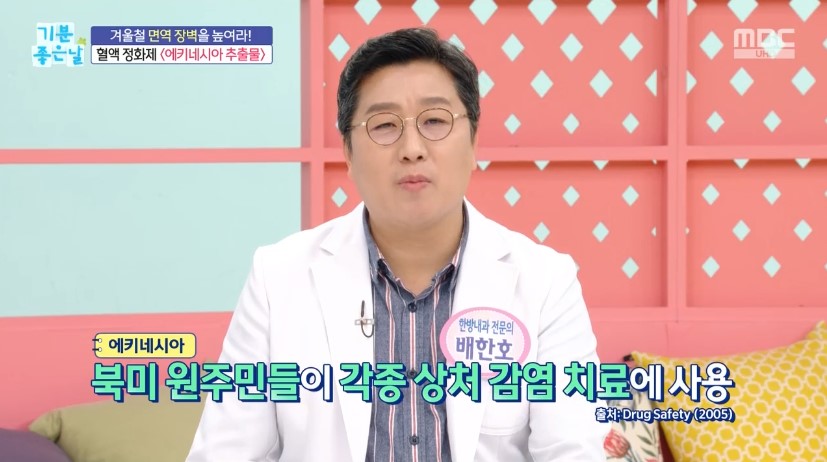 에키네시아 추출물 효능 NK세포 사이토카인 정보 안내