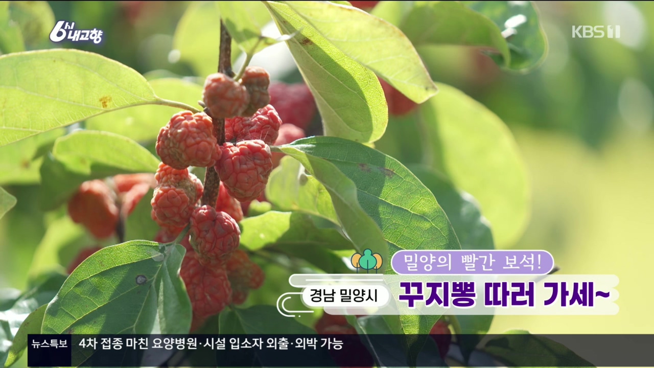 6시 내고향.E7640.221019p.H264-F1RST.mp4_20221020_164009.391.jpg