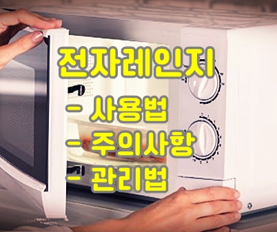  주방의 필수 조리 기구 전자레인지: 올바른 사용법, 주의사항 및 관리법