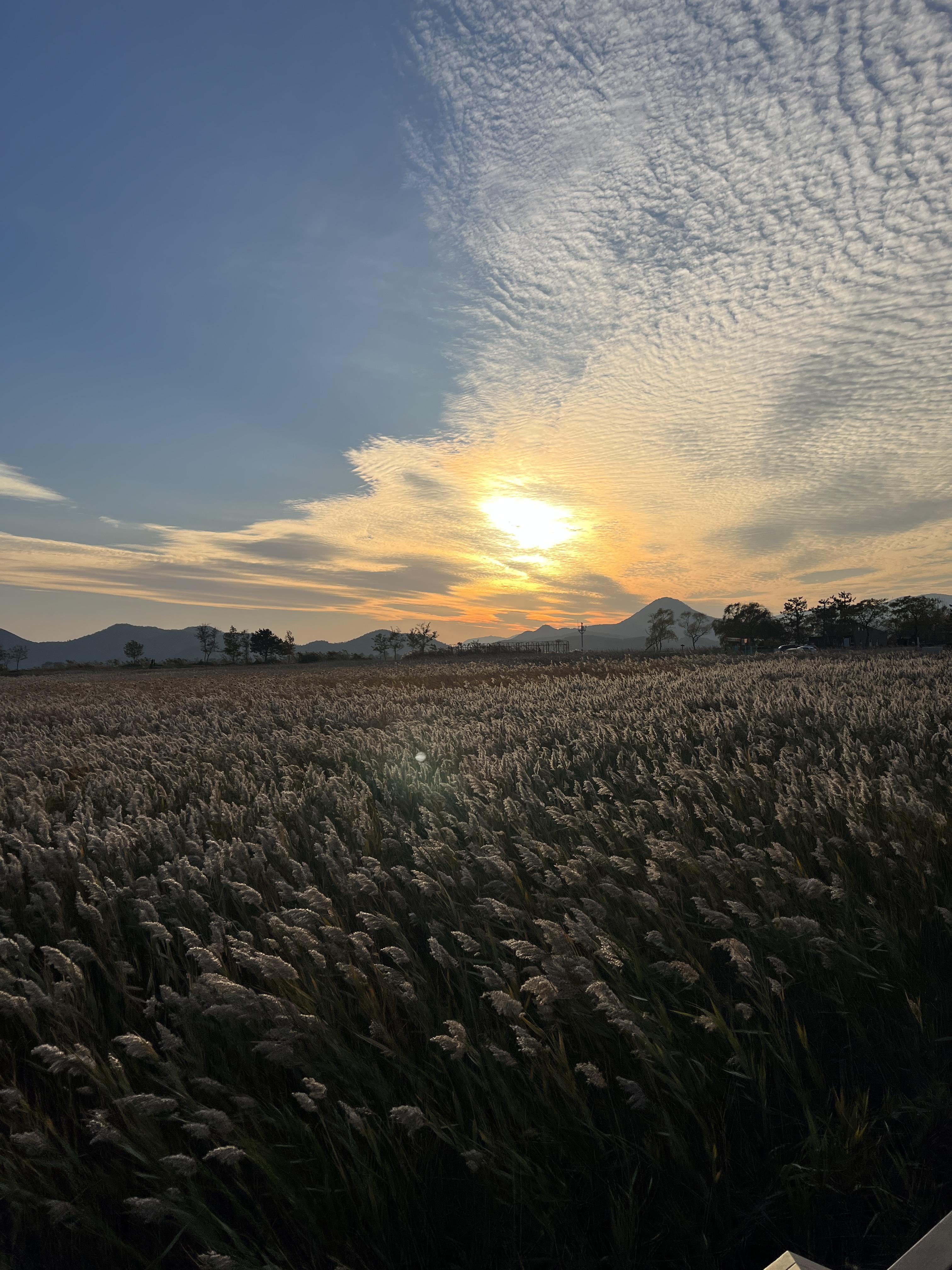 순천 여행 숙소 리조트 추천 